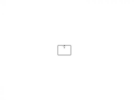 ALN 9613 Sit Multi Purpose UHF RFID Tag
