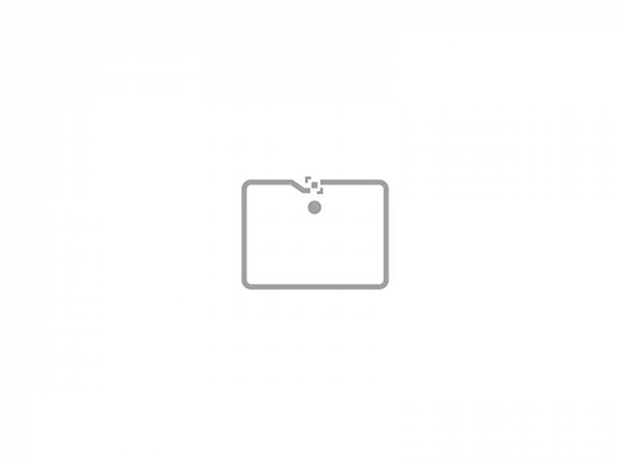 ALN-9713 SIT Multi Purpose UHF RFID Tag
